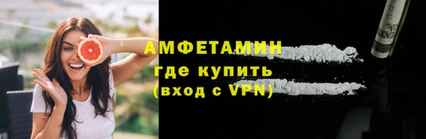 прущие грибы Елабуга