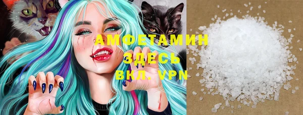 винт Дмитров