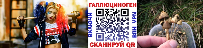Галлюциногенные грибы мицелий  Купить закладки  Киренск 
